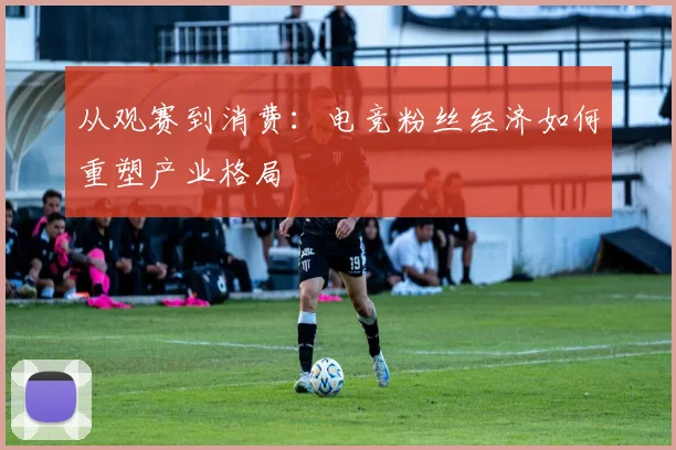 从观赛到消费：电竞粉丝经济如何重塑产业格局